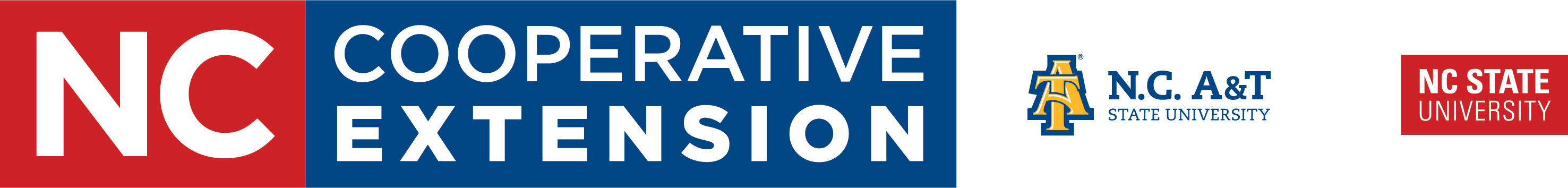account logo