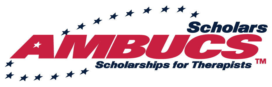 sponsor image